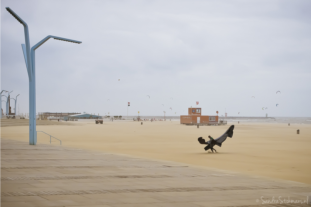 Scheveningen, Sandra Stokmans, Stokmans, lifestyle, familie shoot, familieshoot, minishoot, vaderdag cadeau