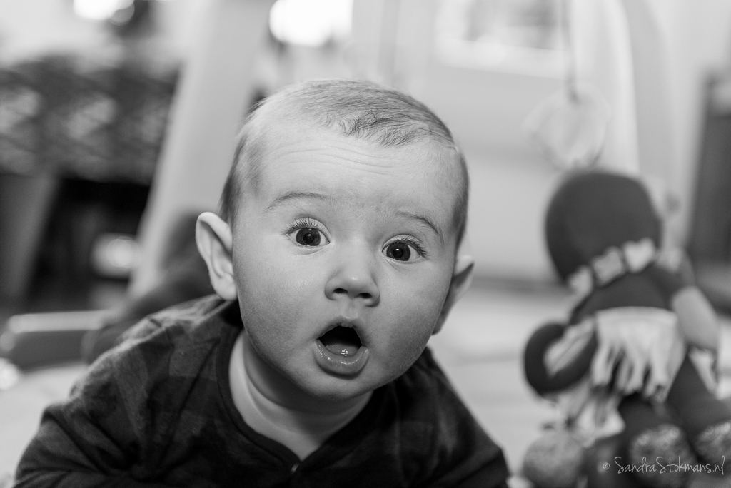 familie fotografie, familie reportage, family photography, portet, kinderportret, portrait, portretfotografie, portrait photography, Foto door Sandra Stokmans