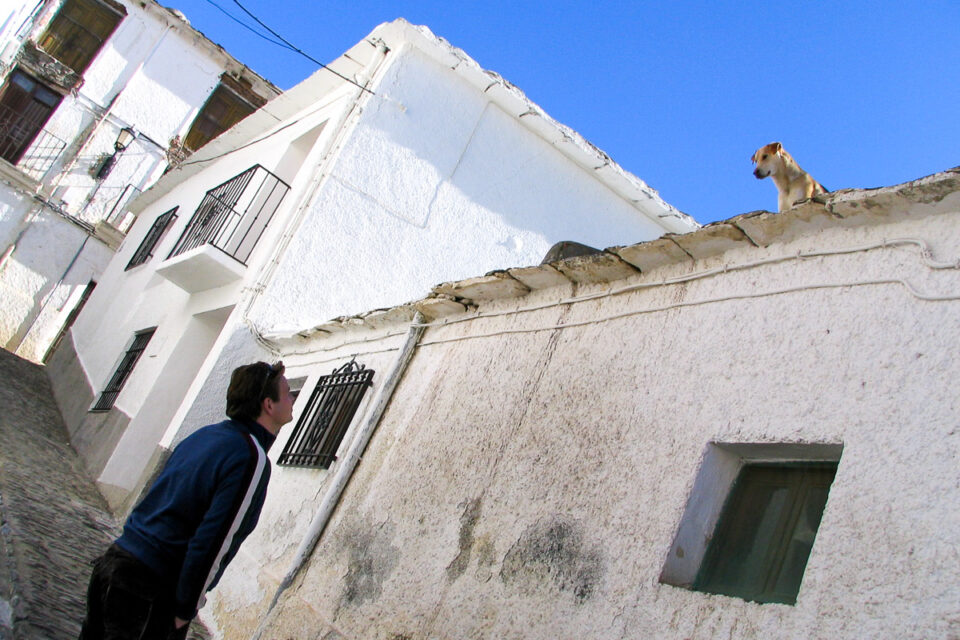 Hond die op man neerkijkt in een Spaans dorpje, reisfotografie, Sandra Stokmans Fotografie