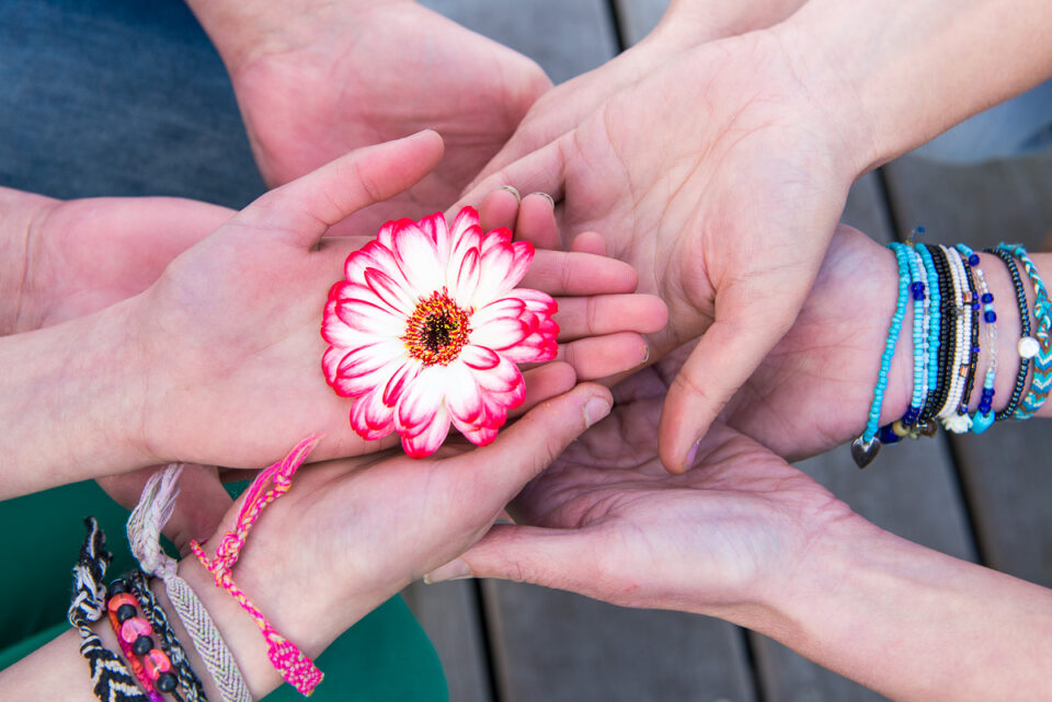 Bloem in handen, foto Sandra Stokmans Fotografie