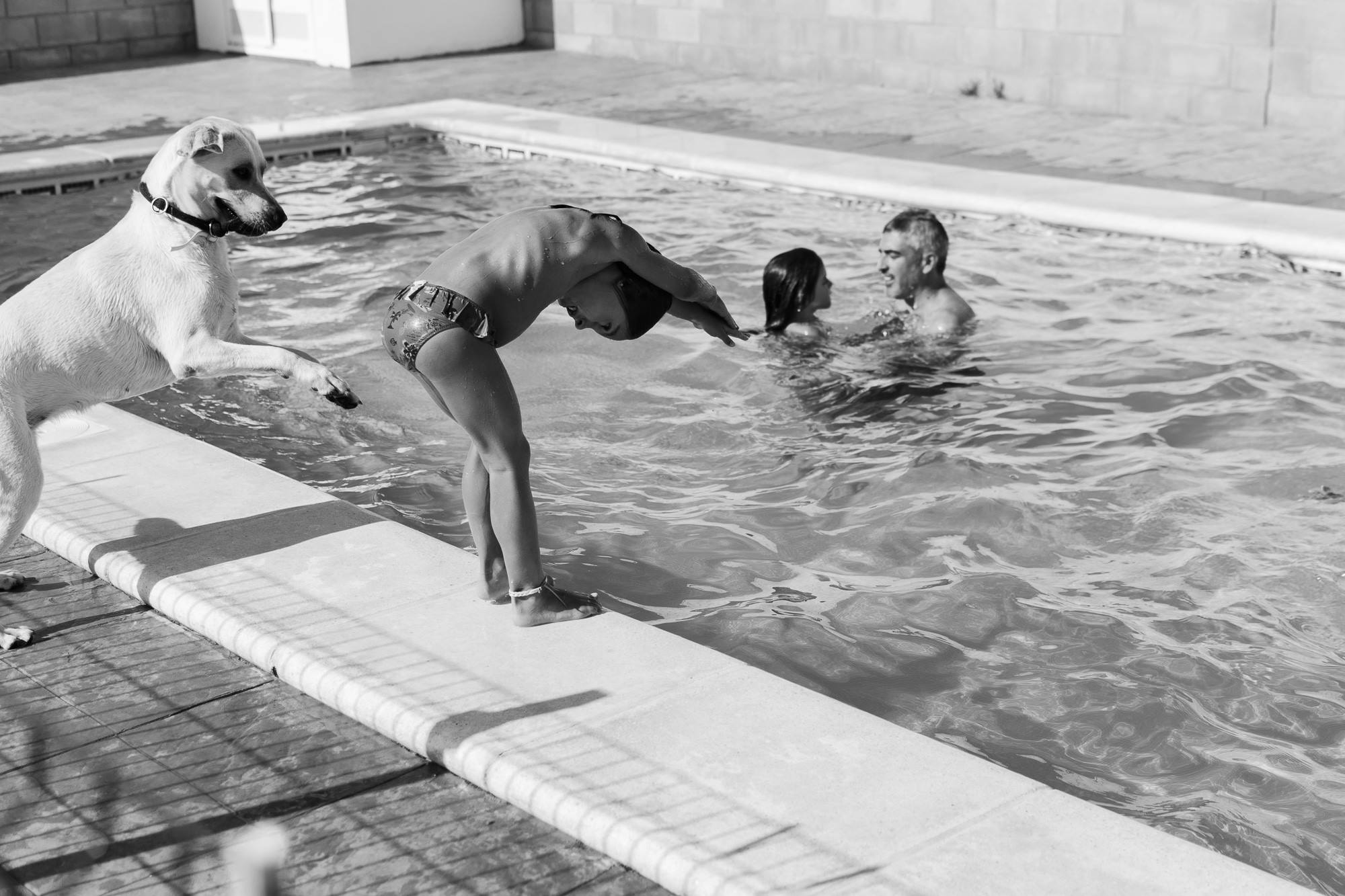 Hond die wil ook zwemmen, foto door Ana Guis, dog wants to go into the pool as well