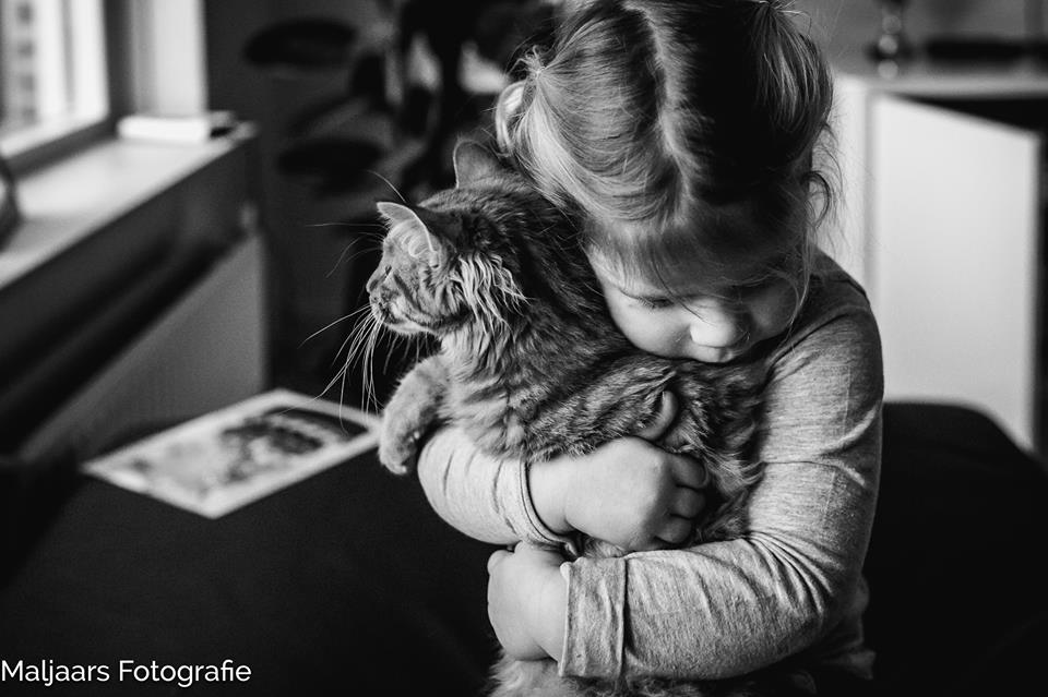 Meisje knuffelt kat, foto door Marolijn Maljaars van Maljaars Fotografie