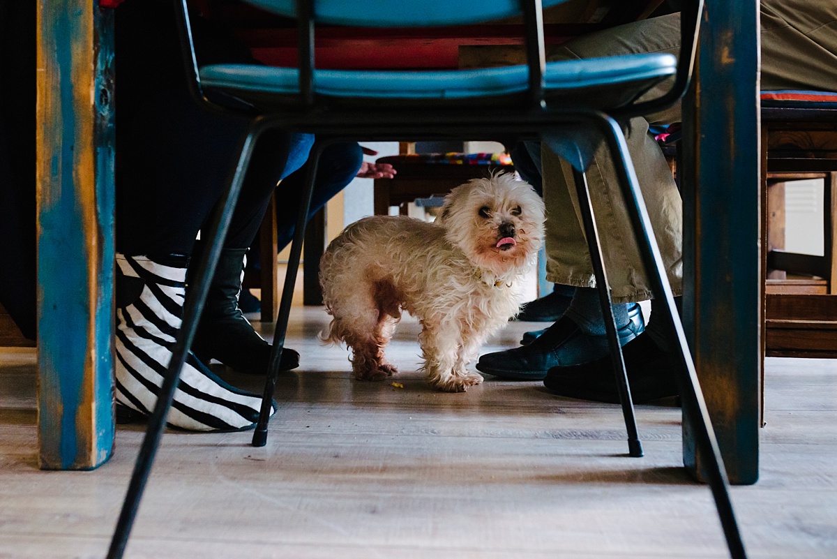 Gezinsfotografie, Day in the Life in Assen, lunchen, foto door Sandra Stokmans Fotografie