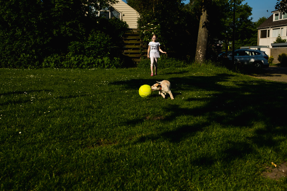 Labrador pup spelen met meisje buiten, familie fotografie, foto door Sandra Stokmans Fotografie